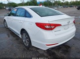 Hyundai Sonata Sport 5NPE34AF0HH524268 снимка