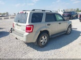 Ford Escape Xlt 1FMCU93G59KC47736 снимка
