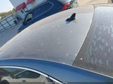 Volkswagen Passat 2.0L Tdi Sel Premium 1VWCN7A39EC083463 снимка