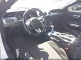 Ford Mustang Gt Fastback 1FA6P8CF8L5150861 снимка