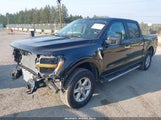 Ford F-150 Xlt 1FTEW3LP2SKE14192 снимка