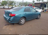 Toyota Corolla Le 2T1BU4EE7AC511317 снимка