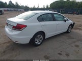 Honda Civic Lx 19XFB2F58EE034222 fotografie