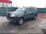 Honda Pilot Ex-L 5FNYF4H64AB027092 fotografie