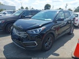Hyundai Santa Fe Sport 2.4L 5NMZTDLB9HH046568 fotografie