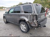 Ford Escape Xlt 1FMCU0D79BKB58462 снимка