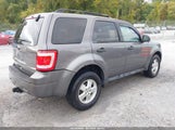 Ford Escape Xlt 1FMCU0D79BKB58462 fotografie