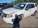Ford Escape Xlt 1FMCU03G89KD11246 снимка