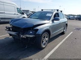 Audi Q5 3.0T Premium Plus WA1DGAFP1DA033557 снимка