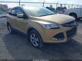 Ford Escape Se 1FMCU9G9XEUC26875 снимка