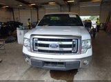 Ford F-150 Xlt 1FTMF1CF6EKF40454 снимка