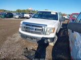 Ford F-150 Xlt 1FTMF1CF6EKF40454 снимка