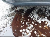 Ford Focus Se/Ses 1FAHP35N78W299148 снимка