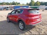 Miniaturka zdjęcia 3