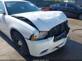 Dodge Charger Police 2C3CDXAT5EH245564 снимка