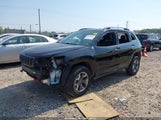 Jeep Cherokee Trailhawk 4X4 1C4PJMBX7LD643584 снимка