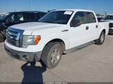 Ford F-150 Fx2 Sport/Harley-Davidson/King Ranch/Lariat/Platinum/Xl/Xlt 1FTFW1CV4AKE72696 снимка