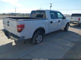 Ford F-150 Fx2 Sport/Harley-Davidson/King Ranch/Lariat/Platinum/Xl/Xlt 1FTFW1CV4AKE72696 fotografie