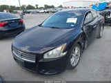 Nissan Maxima 3.5 Sv 1N4AA5AP0BC834450 снимка
