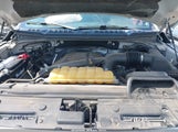 Ford F-150 Platinum 1FTEW1EG6GFB43817 снимка