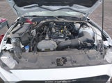 Ford Mustang Ecoboost Fastback 1FA6P8TH4N5123449 снимка