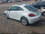 Volkswagen Beetle 2.0T Se 3VWJD7AT5KM701009 снимка