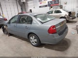 Chevrolet Malibu Ls 1G1ZS57F87F163164 снимка