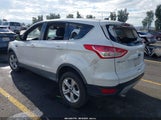 Ford Escape Se 1FMCU0GXXEUA93612 снимка