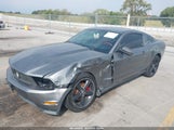 Ford Mustang Gt/Gt Premium 1ZVBP8CHXA5166614 fotografie
