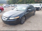 Acura Tl Type S 19UUA76587A049396 снимка