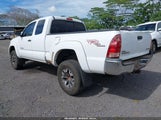Toyota Tacoma Base V6 5TEUU42N38Z539150 photo