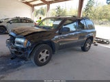 Chevrolet Trailblazer Ls 1GNDT13S632130764 снимка