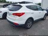Hyundai Santa Fe Sport 2.4L 5XYZT3LB5GG335983 снимка