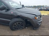 Jeep Grand Cherokee Trailhawk 4X4 1C4RJFLG0LC135630 fotografie