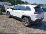 Jeep Cherokee Trailhawk 1C4PJMBX3KD468040 снимка