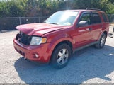 Ford Escape Xlt 1FMCU03759KD01743 снимка