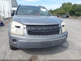 Chevrolet Equinox Ls 2CNDL23F356114668 снимка