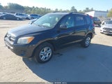 Toyota Rav4 2T3BF4DV5AW056095 снимка