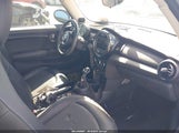 Miniaturka zdjęcia 5