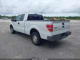 Ford F-150 Stx/Xl 1FTEX1CW3AFB77454 photo