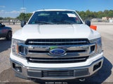 Ford F-150 Xlt 1FTEW1E52JFA64781 снимка