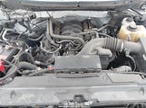 Ford F-150 Xlt 1FTFW1EF4DFC04251 снимка