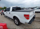 Ford F-150 Xlt 1FTFW1EF4DFC04251 снимка