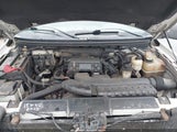 Ford F-150 Fx4/Lariat/Xl/Xlt 1FTPX14V98FB22497 photo