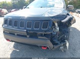 Jeep Compass Trailhawk 4X4 3C4NJDDB4LT112104 снимка