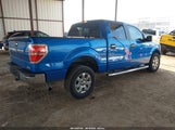 Ford F-150 Xlt 1FTFW1CF2EKD43774 снимка