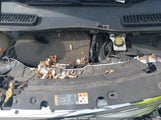 Ford Escape Se 1FMCU9GD4HUE73348 снимка
