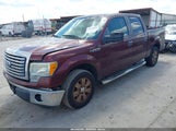 Ford F-150 Fx2 Sport/Harley-Davidson/King Ranch/Lariat/Platinum/Xl/Xlt 1FTFW1CV9AFD66334 photo
