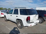 Chevrolet Trailblazer Ls 1GNDT13S172216389 снимка