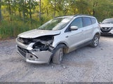 Miniaturka zdjęcia 2